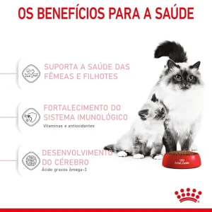 Ração Royal Canin Mother & Babycat 1,5 kg